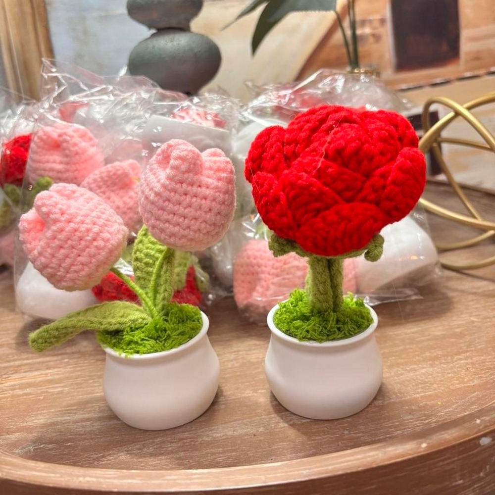 Crochet Flowers in Little Pots Red and Pink